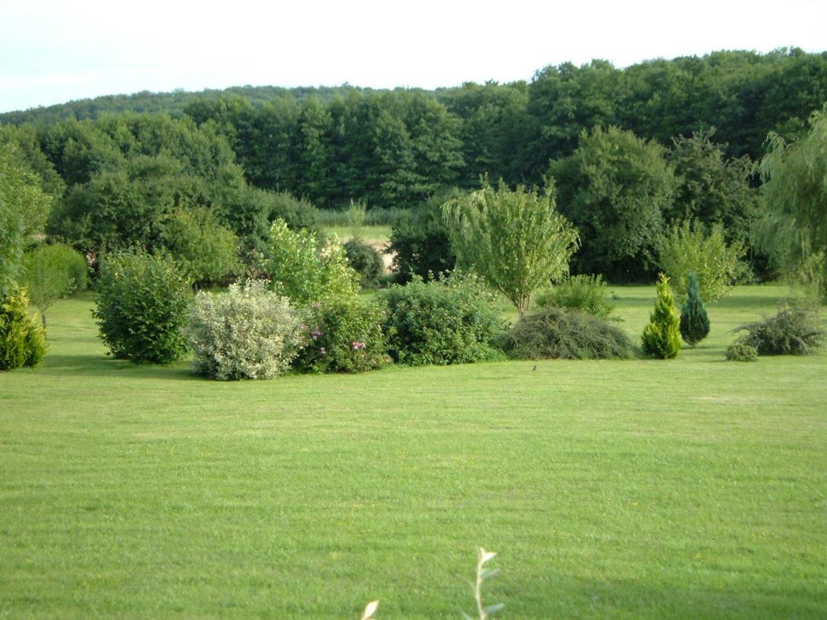 Villa Le Lansquenet Rorbach-les-Dieuze Exterior foto